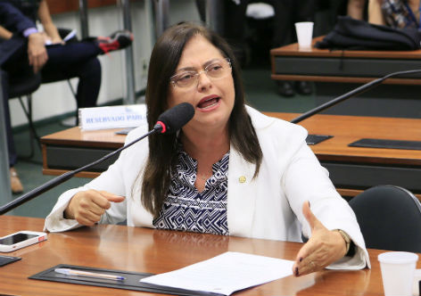 Alice apresenta emenda à reforma da previdência para preservar o sigilo dos dados dos beneficiários do INSS